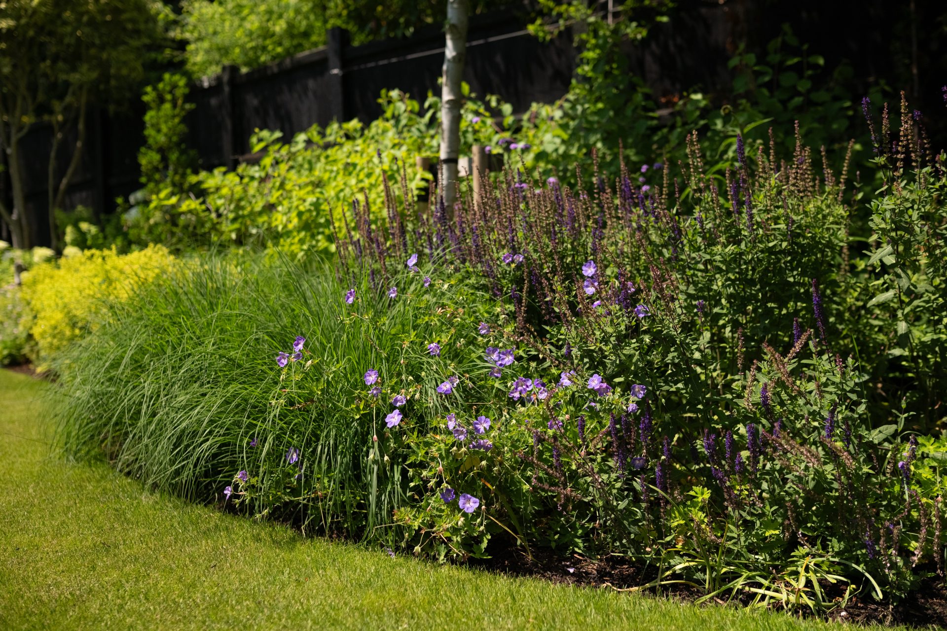 lush planting in bed border
