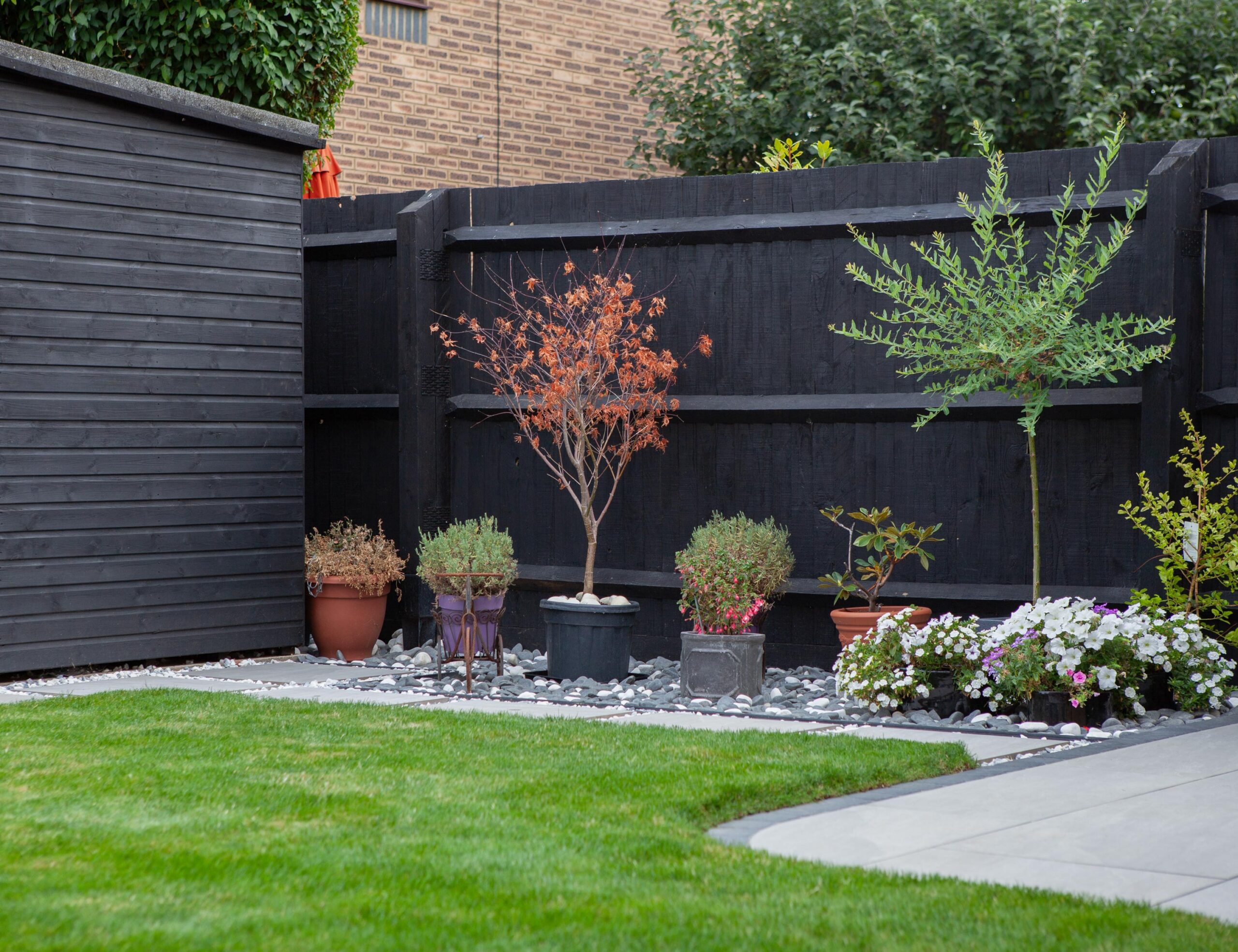 Black painted timber boundary fencing beside a landscaped garden with lawn, planting and garden shed.