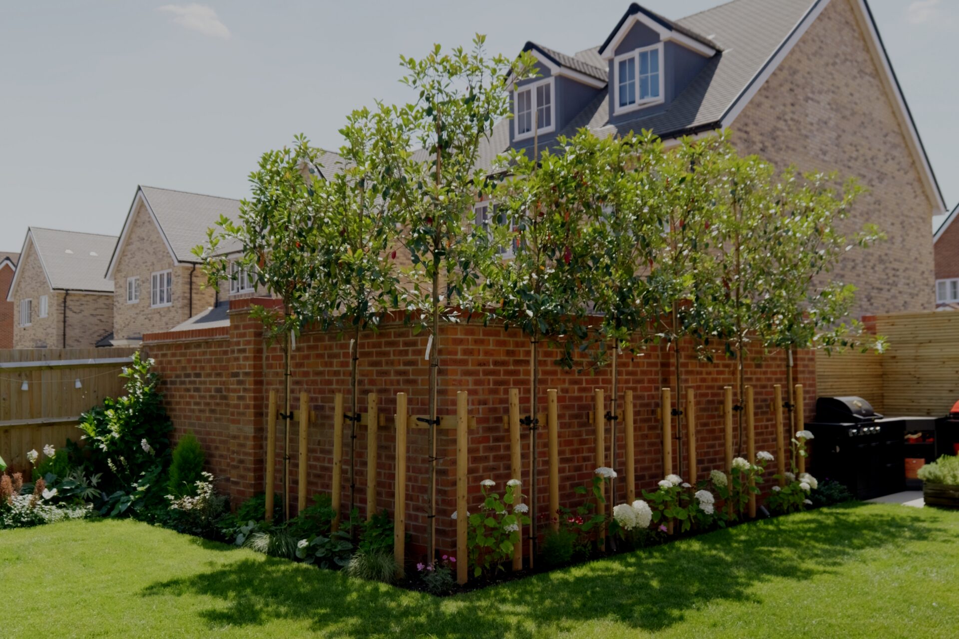 Wide view of the finished Hitchin garden for the Canopy & Clearing project.