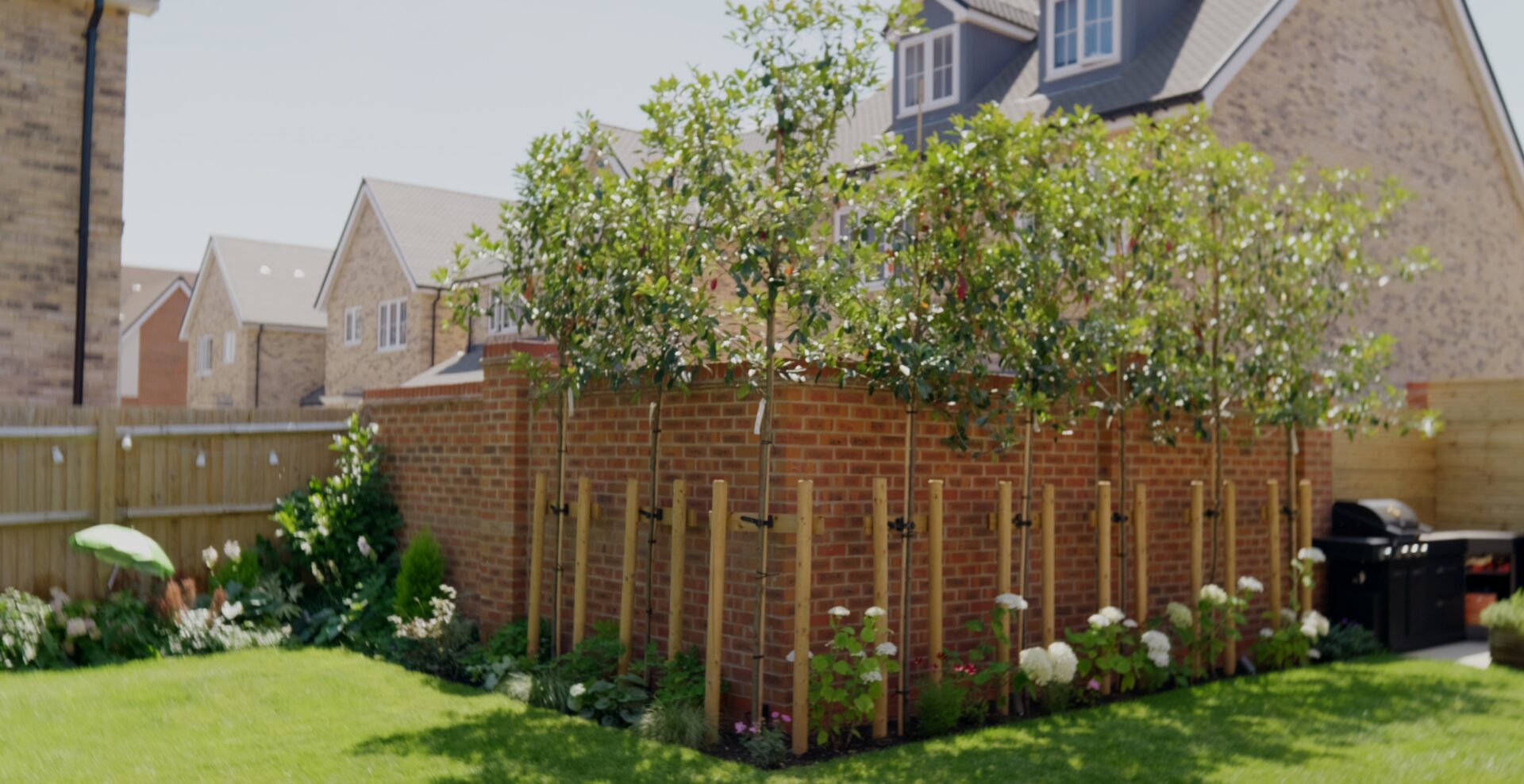 Wide view of the finished Hitchin garden for the Canopy & Clearing project.