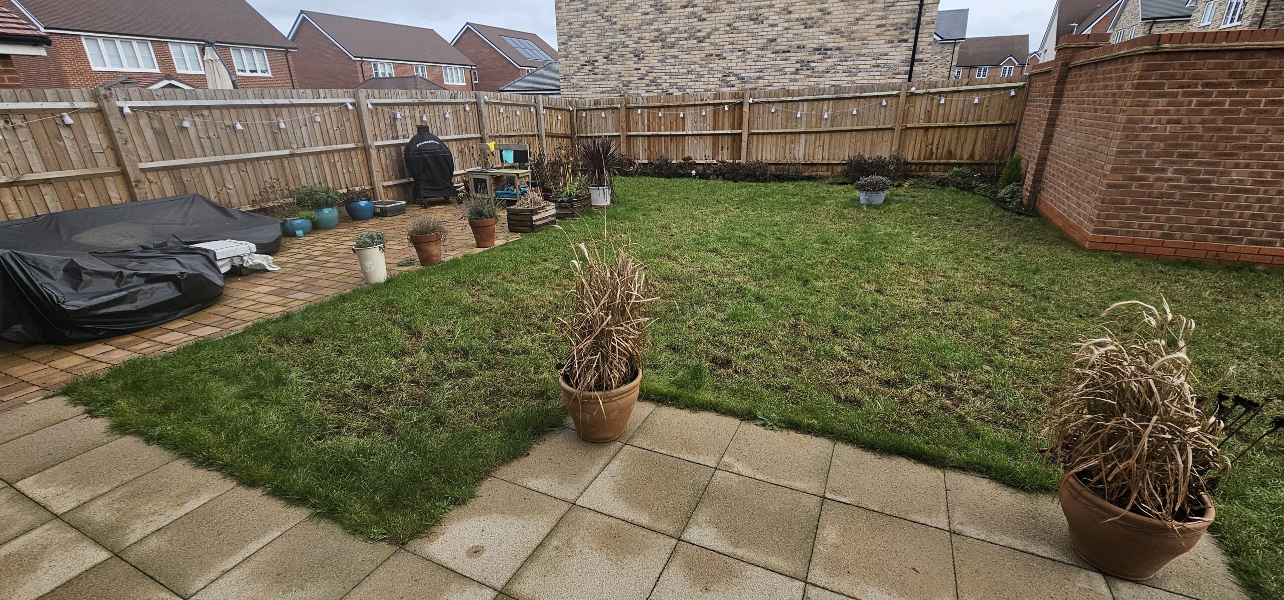 Garden before the Canopy & Clearing landscaping project in Hitchin.