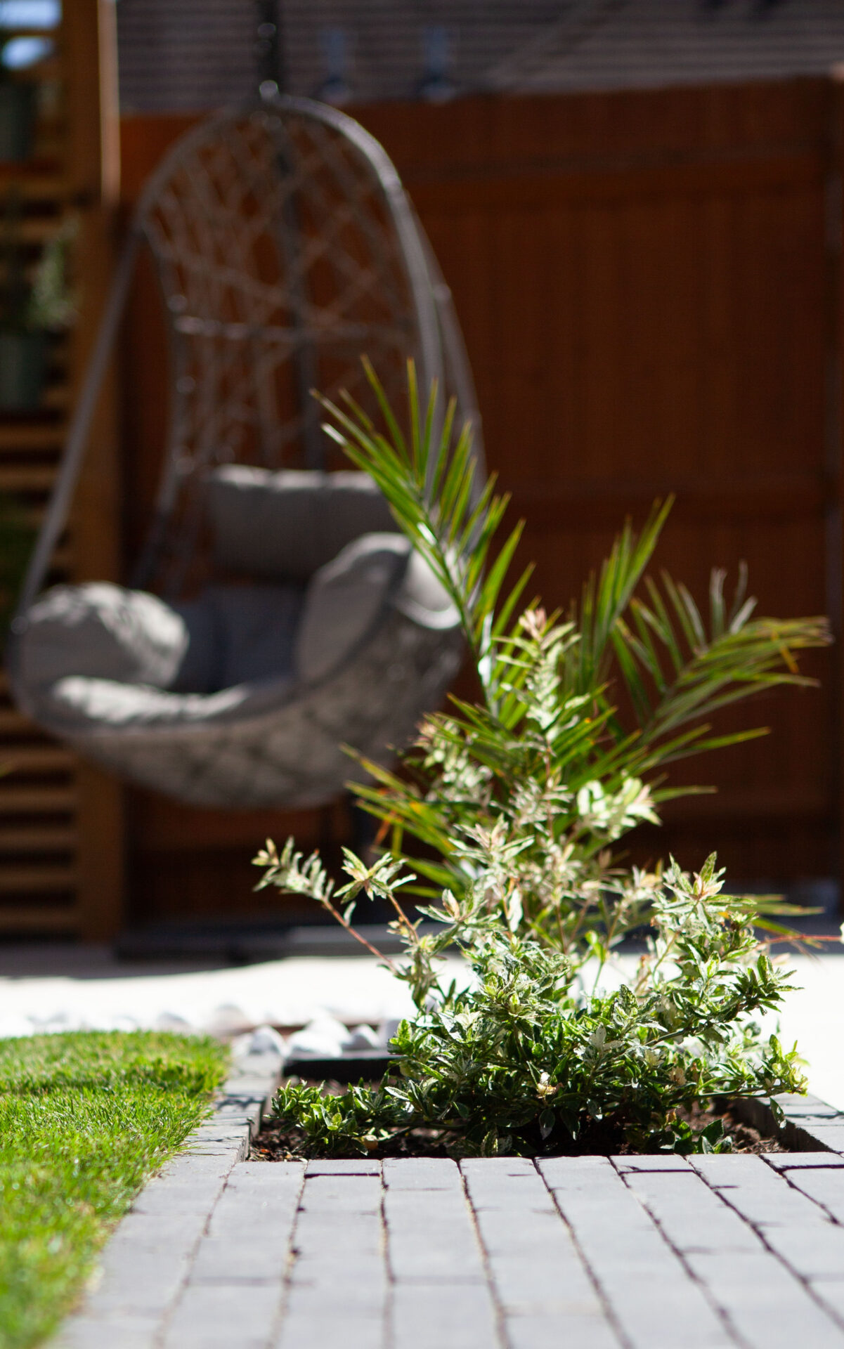 Hertfordshire Drives And Landscapes Hitchin in the finished From Deck to Structured Garden garden in Letchworth Garden City.