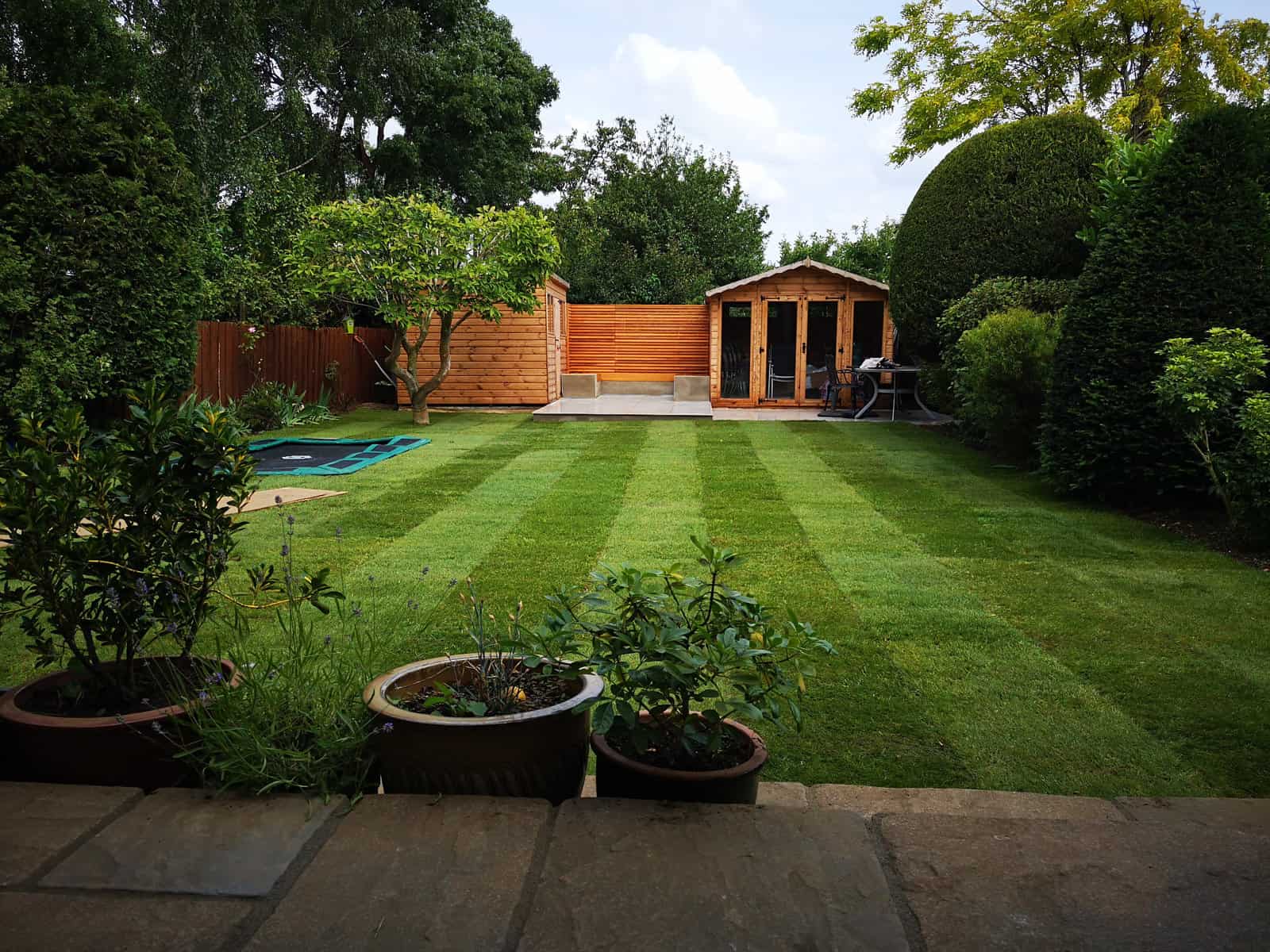 The Social Garden garden design project