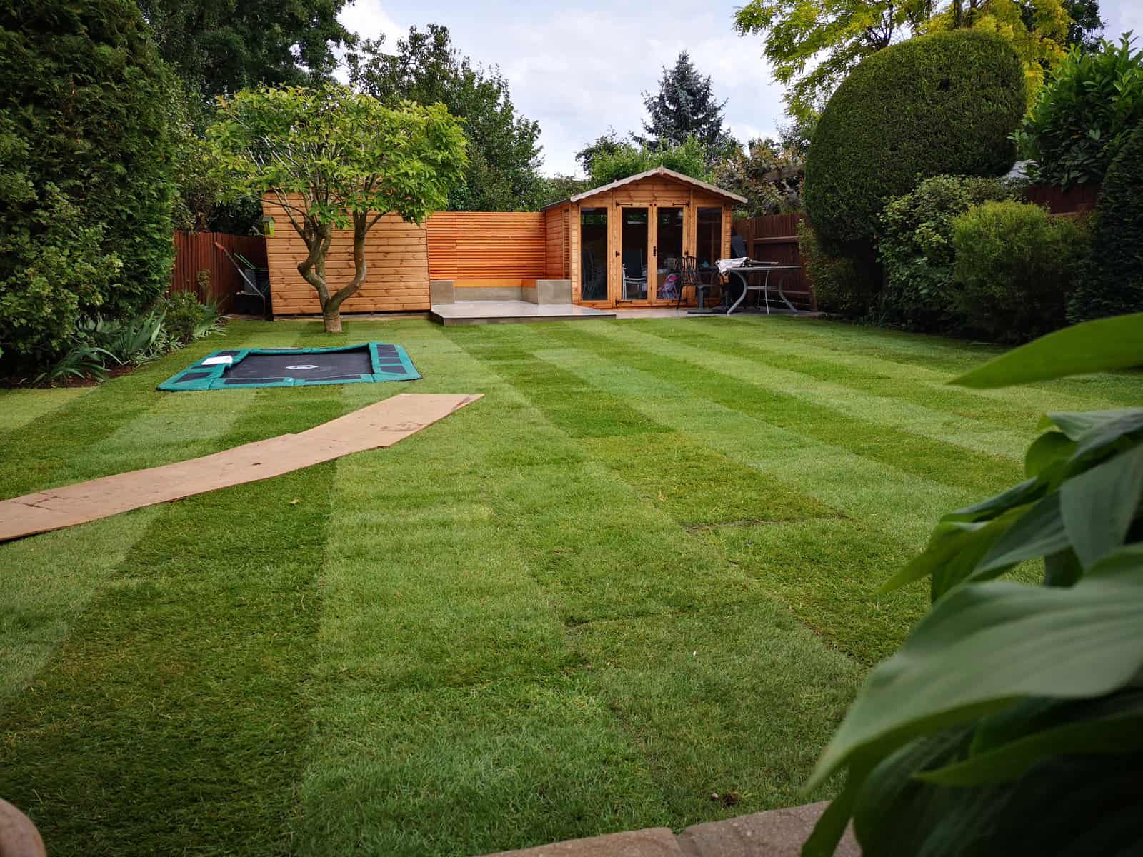 The Social Garden garden design project