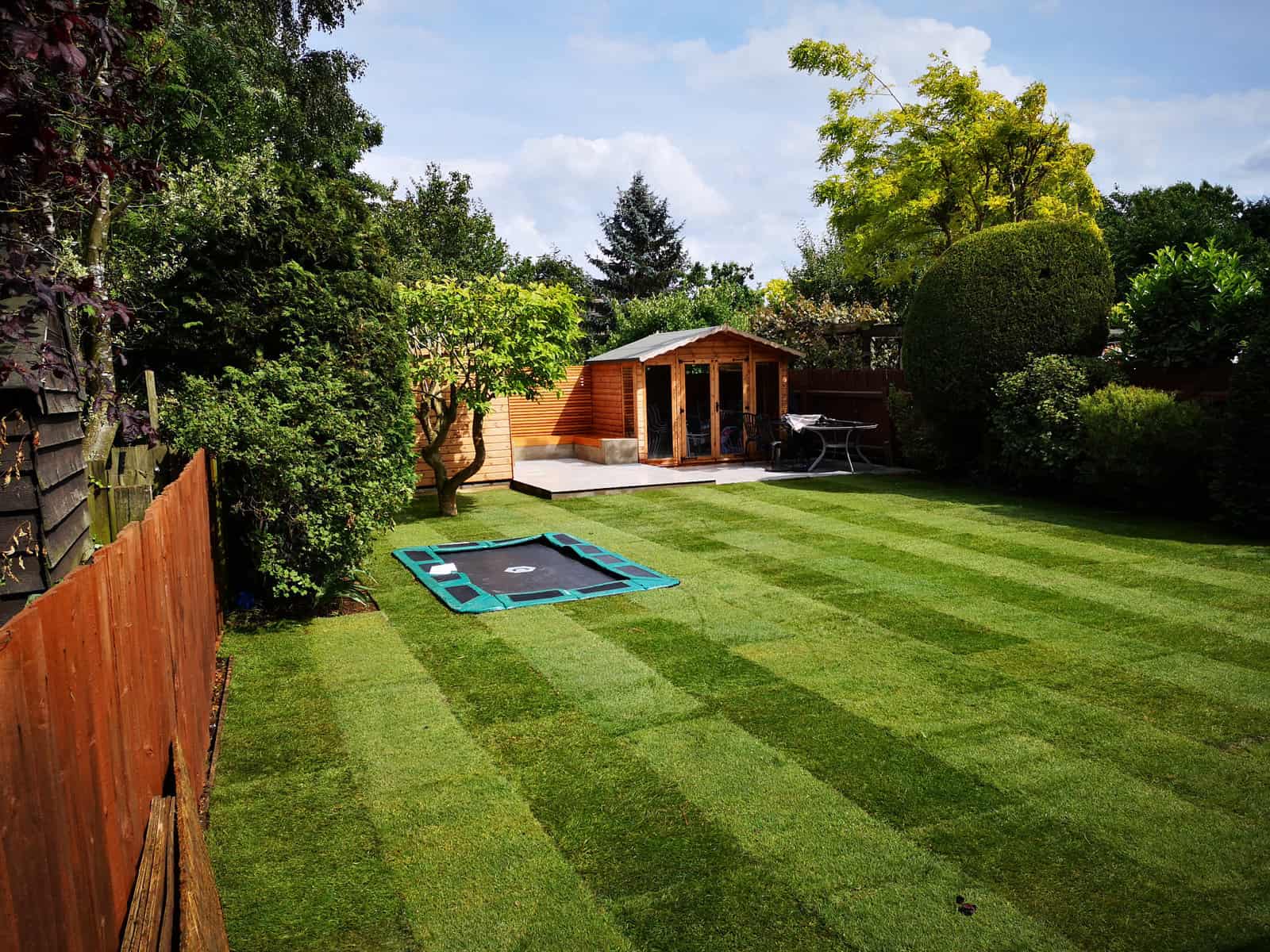 The Social Garden garden design project