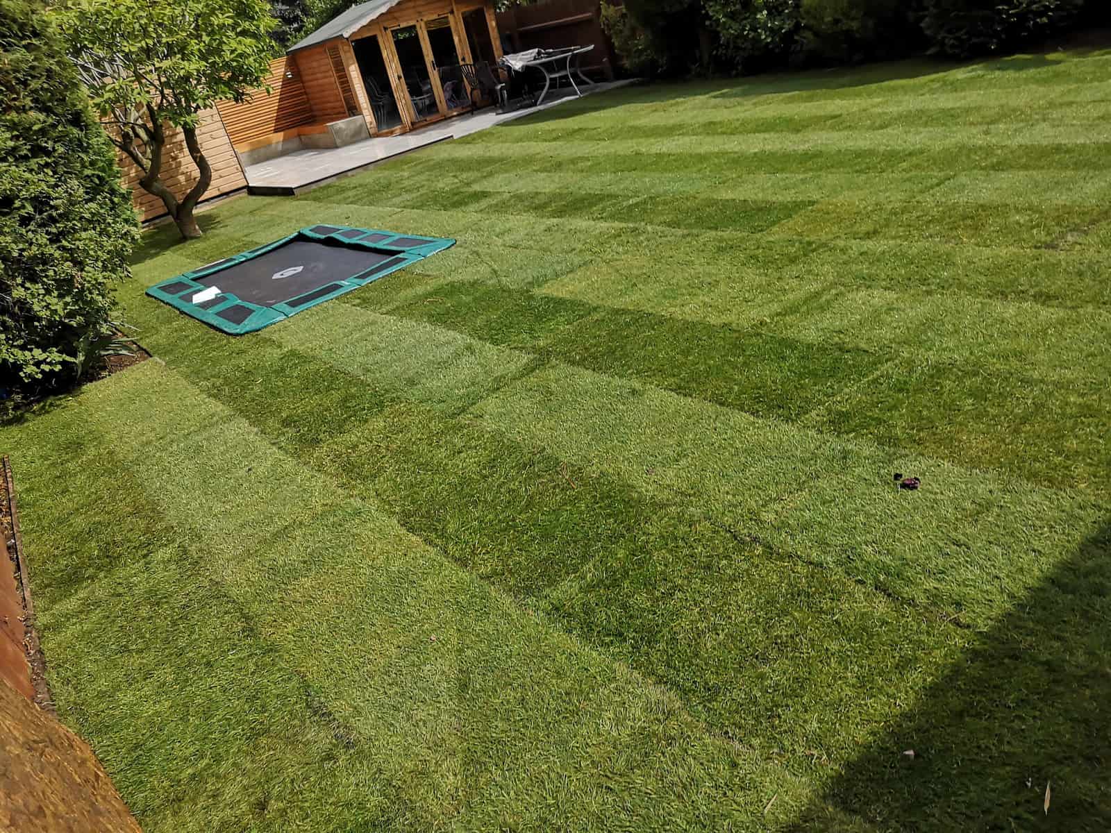 The Social Garden garden design project