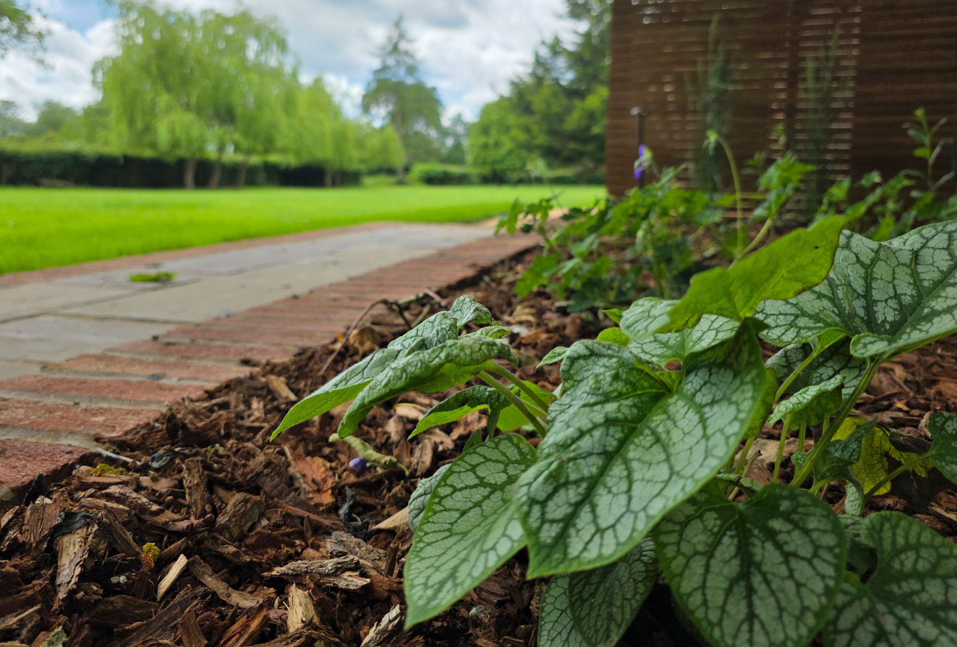 Wide view of the finished Ardley garden for the Stone Terrace & Brick Detail project.