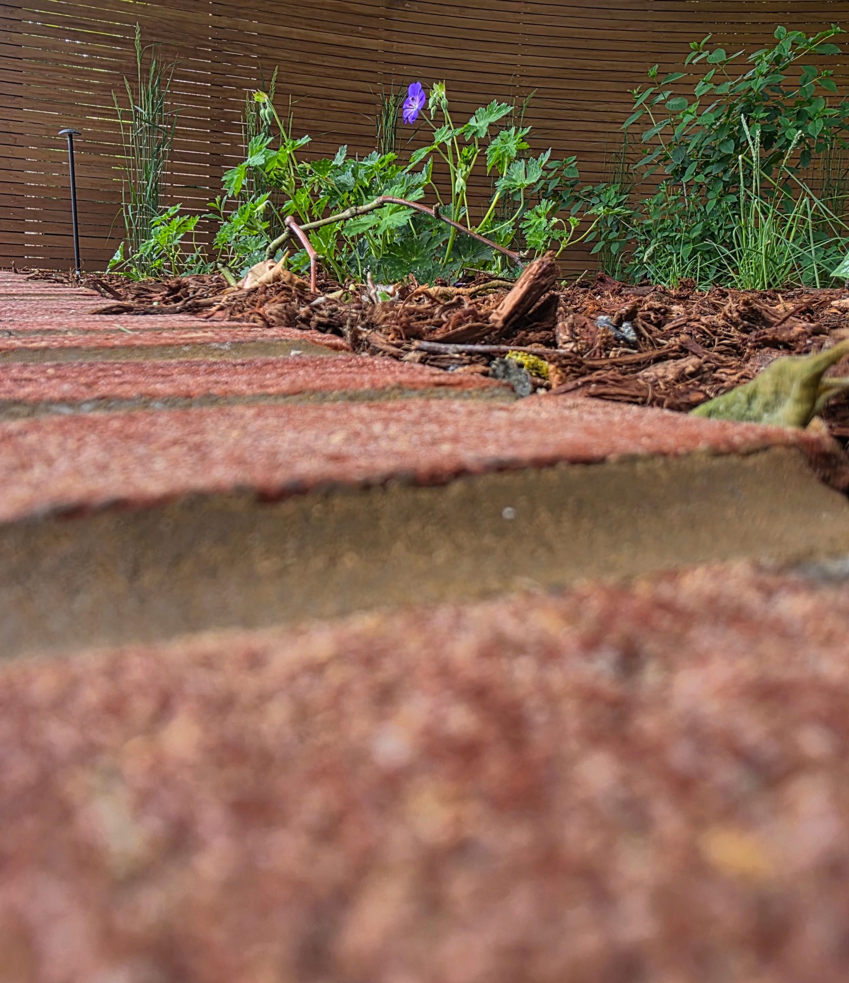 Wide view of the finished Ardley garden for the Stone Terrace & Brick Detail project.