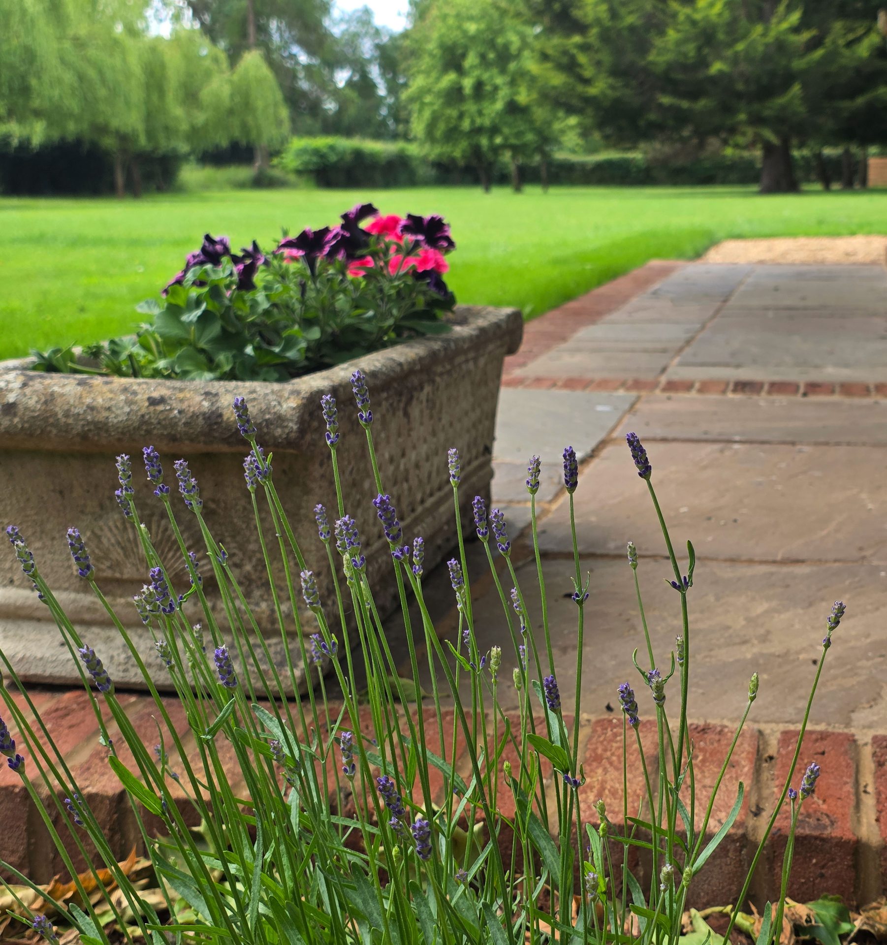 Wide view of the finished Ardley garden for the Stone Terrace & Brick Detail project.