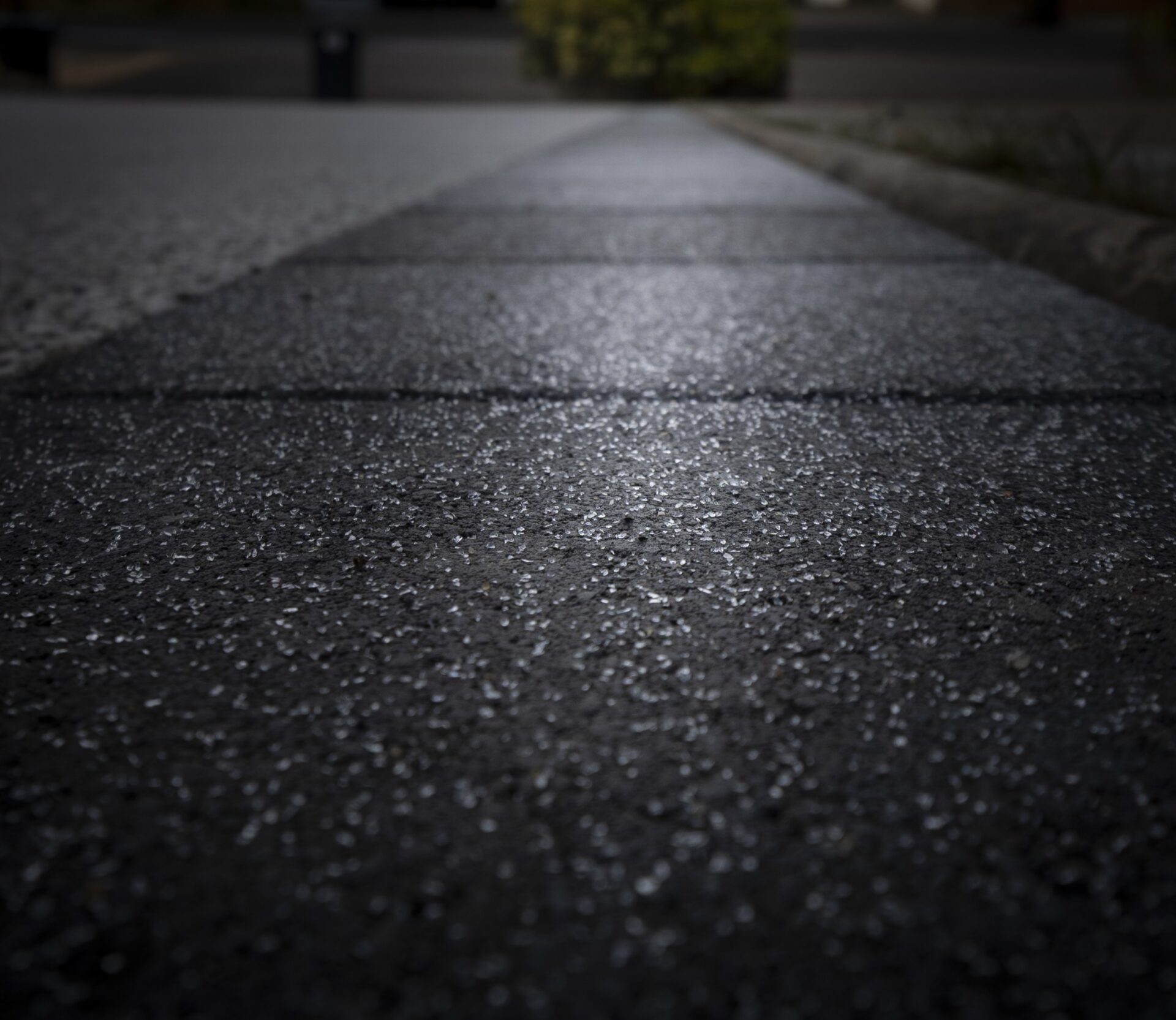 Img in the finished From Slope to Surface garden in Ware.
