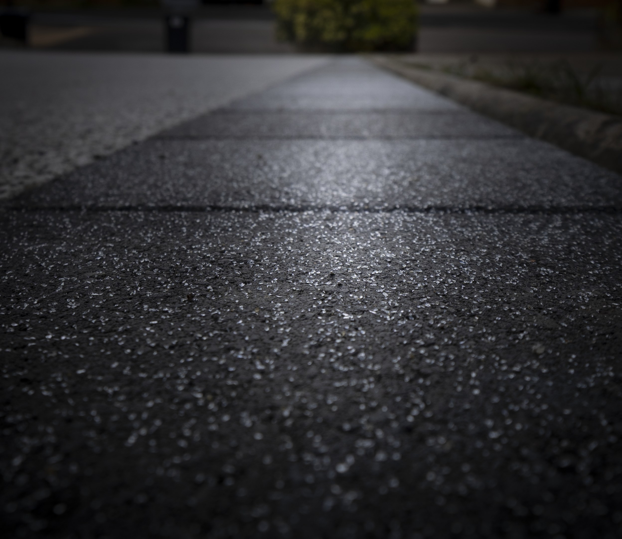 Img in the finished From Slope to Surface garden in Ware.