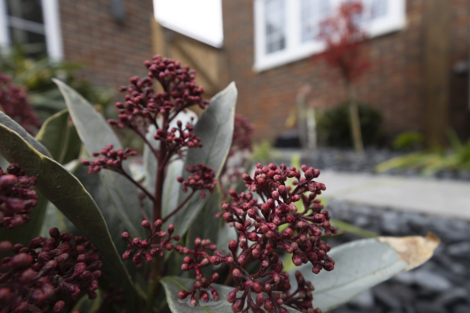 Img in the finished Porcelain Courtyard & Planting garden in Baldock.