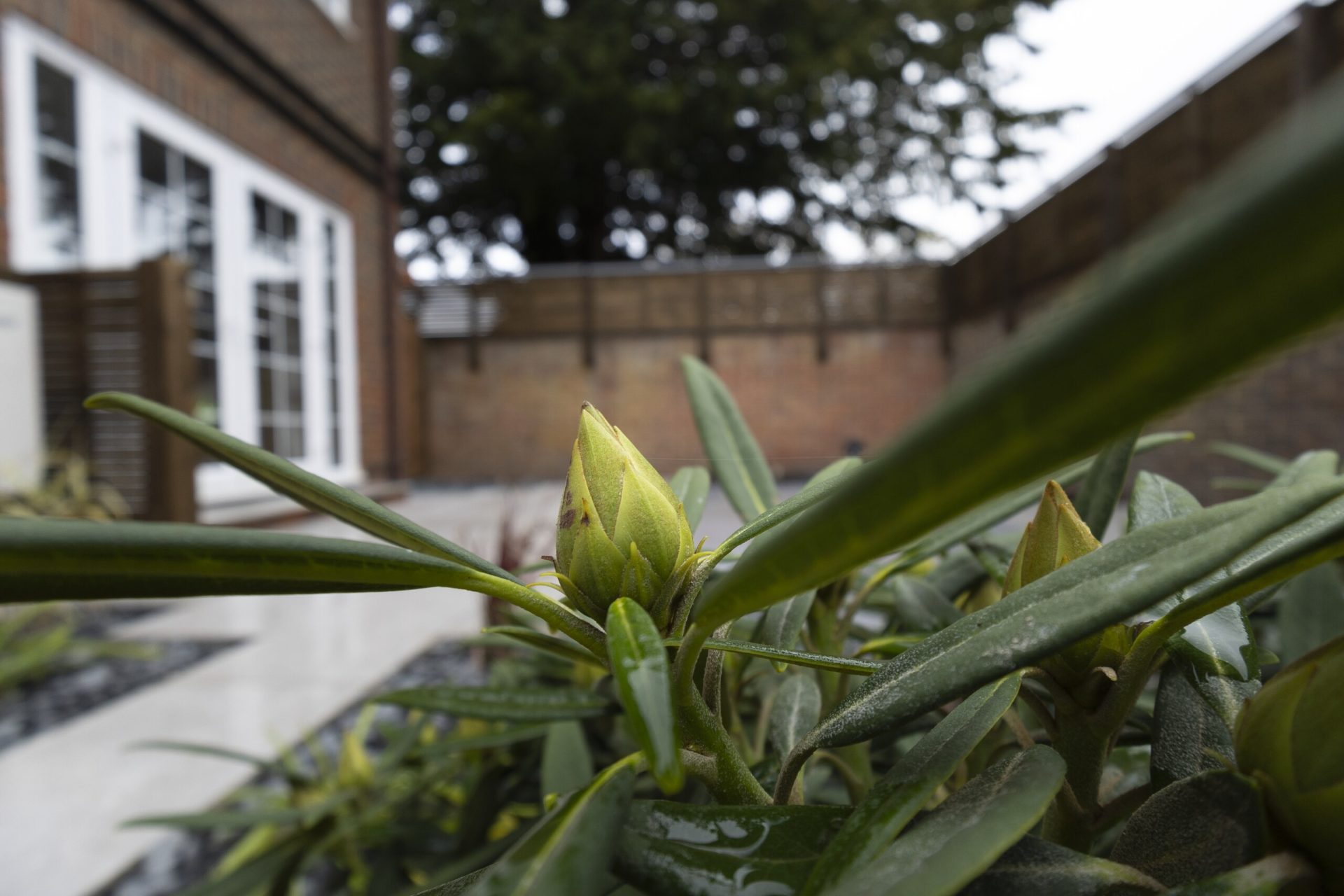Img in the finished Porcelain Courtyard & Planting garden in Baldock.