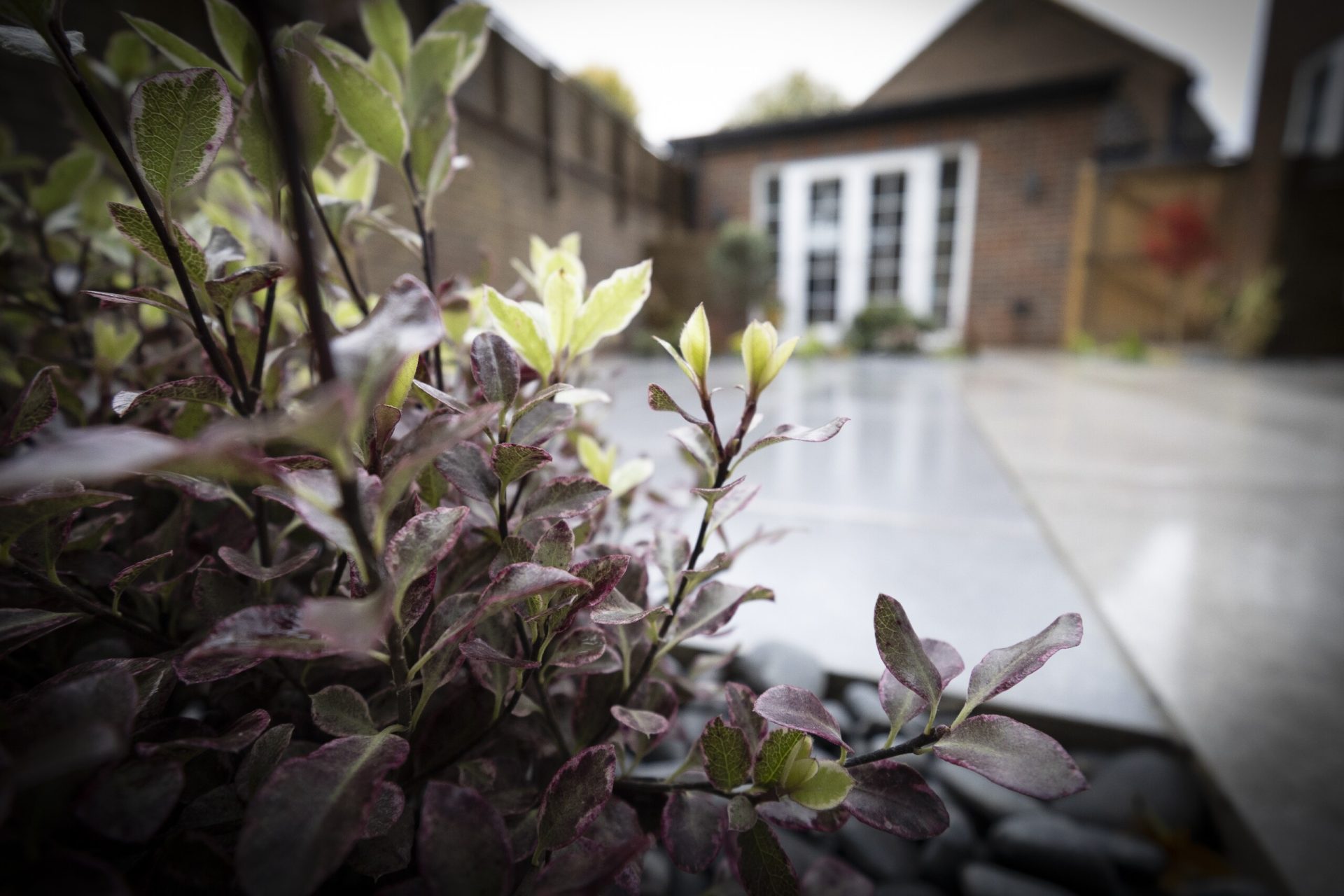 Img in the finished Porcelain Courtyard & Planting garden in Baldock.