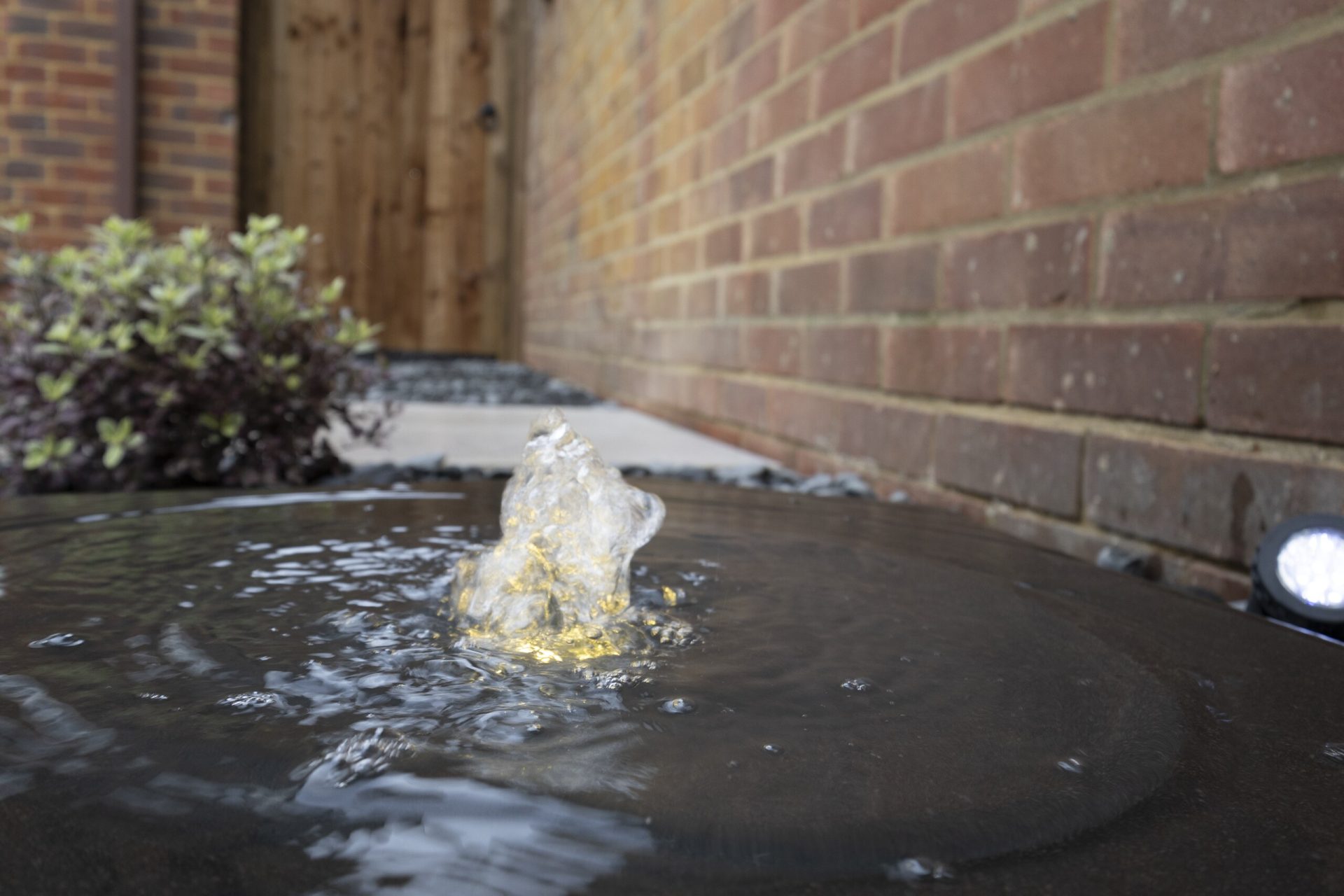 Img in the finished Porcelain Courtyard & Planting garden in Baldock.