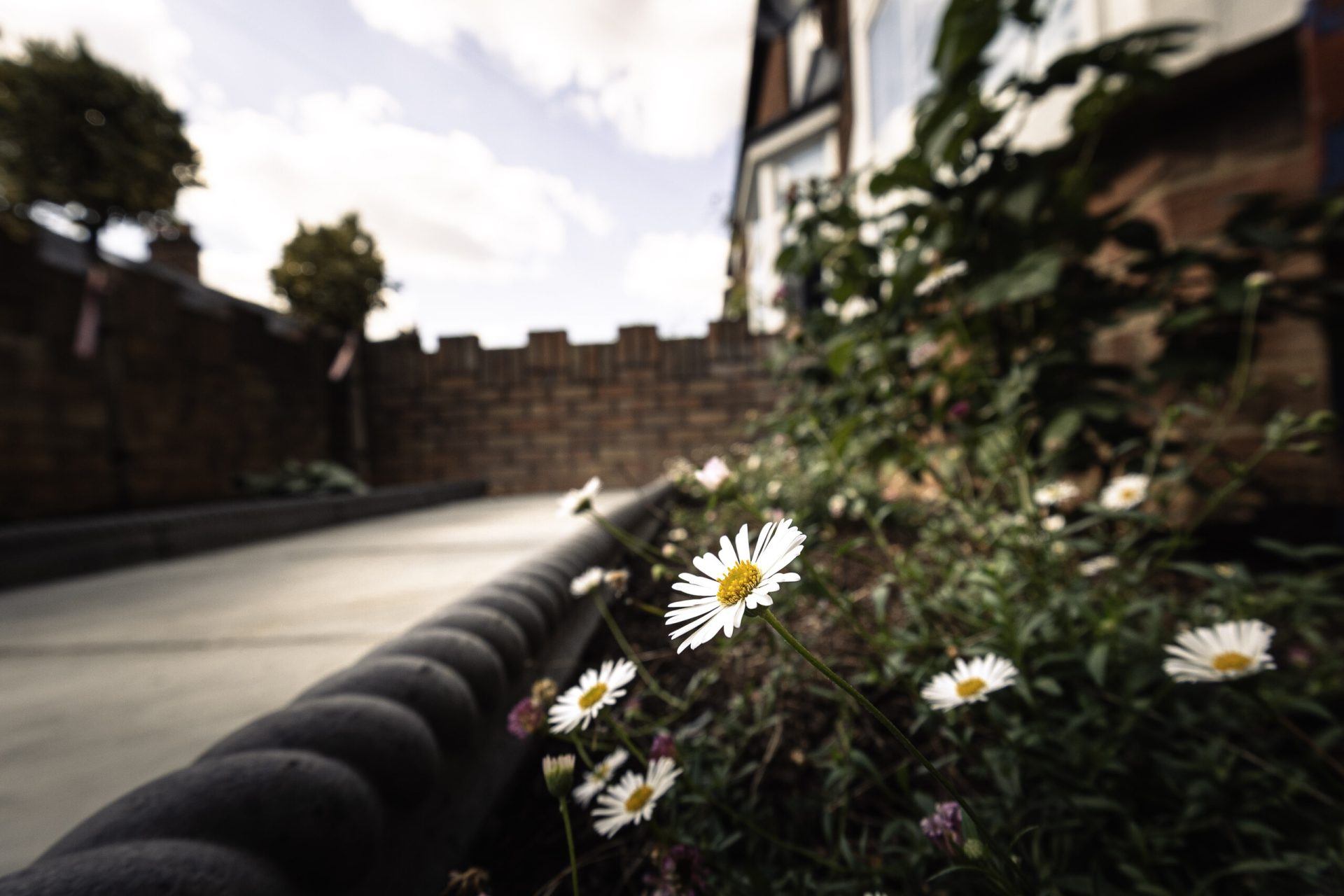 3 Img in the finished Pattern & Passage garden in Hitchin.